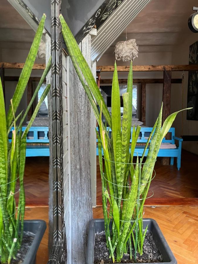 Apartamente A La Cluj Luaran gambar